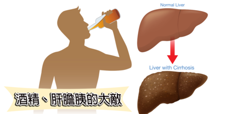 喝酒不只傷肝，更容易得癌！醫師揭每週喝超過「這個量」脂肪肝、胰臟癌齊上身
