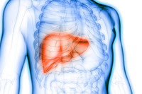 減60%肝癌罹患率！日本研究：多吃「這食物」抗氧力多1500倍