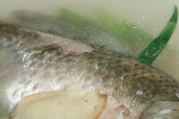 鯽魚不只好吃，還能補脾健胃　這樣吃就能改善胃痛！