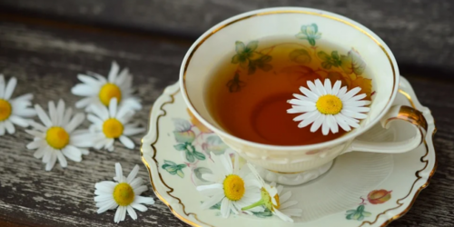 DIY一杯香草茶，輕鬆安度更年期！5種適合更年期飲用的香草推薦