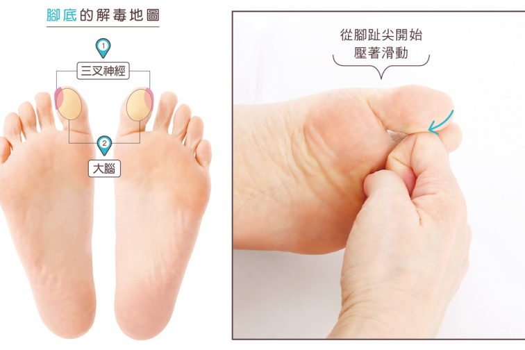 頭痛、偏頭痛好惱人？刺激三叉神經、大腦穴道，改善不適症狀