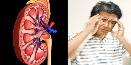 「腎臟」病變前無明顯徵兆，一發作就是90%功能損害！「6大腎病症狀」千萬不可輕忽！