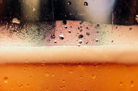 奇怪的健康冷知識　葡萄牙研究：「啤酒」有益男性腸道健康