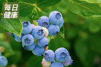 藍莓擁有超強抗氧化能力的「超級食物」！　研究證實：每天一把抗衰老、預防失智症