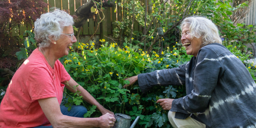 你家的阿公阿嬤，喜歡種花花草草嗎？最新研究：「開心農場」有助延緩老人癡呆