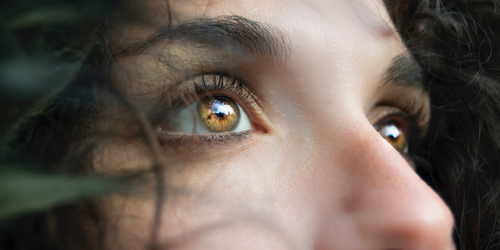 視障者福音：豬皮制眼角膜讓14位盲人重見光明！　「你是我的眼」走入現實