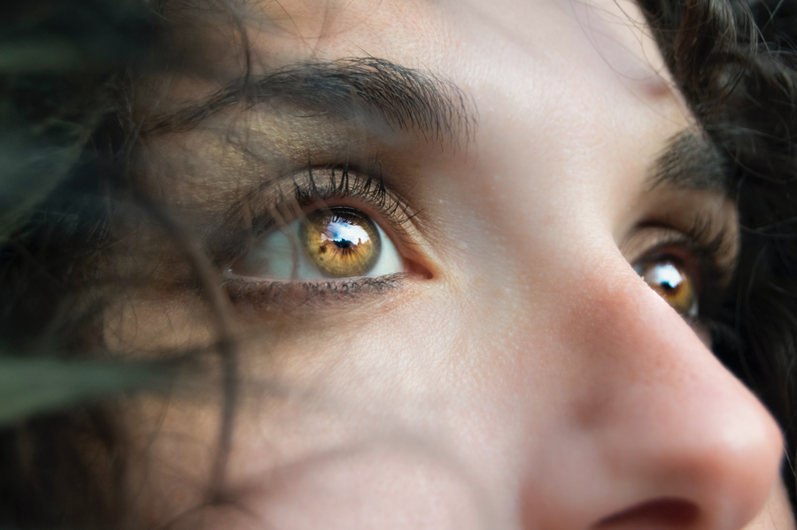 視障者福音：豬皮制眼角膜讓14位盲人重見光明！　「你是我的眼」走入現實