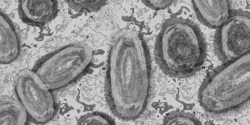 新高度傳染性疾病「番茄流感」來襲　最新研究：恐為手足口病新變種