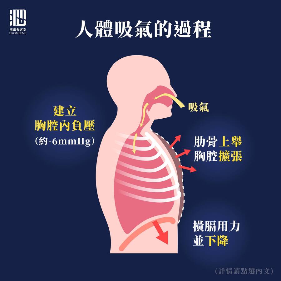 人體吸氣的過程。（圖／翻攝自羅詩修臉書）