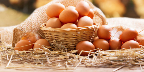 缺蛋如何補充蛋白質？營養師列舉常見「7大蛋類」它最小顆營養價值竟居冠