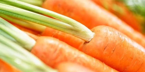 「大腸癌」位居癌症排行榜第一名！怎麼選擇你的一日三餐？紅蘿蔔竟是「小人蔘」