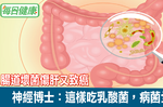 一肚子「壞菌」傷肝又致癌，神經博士解密：這樣吃「乳酸菌」，腸道才能固若金湯！