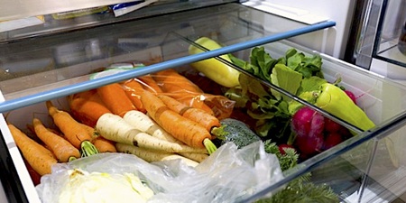 小心吃進自家養殖「沙門桿菌」！冰箱一平方公分有八千隻「細菌」，專家教你怎清、多久清一次才安心！