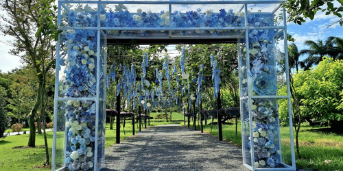 成美文化園以藝術與歷史翻轉永靖，推出『昆蟲創藝PARTY』點亮永靖秋日風華