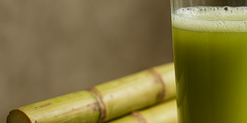 甘蔗汁被譽為「水果界鐵王子」！營養師揭密1搭配更能補血、增強免疫力