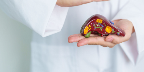 過年後診間湧現「看病潮」？ 爽吃一週驚見脂肪肝上身，醫示警「身材不胖也有危險」