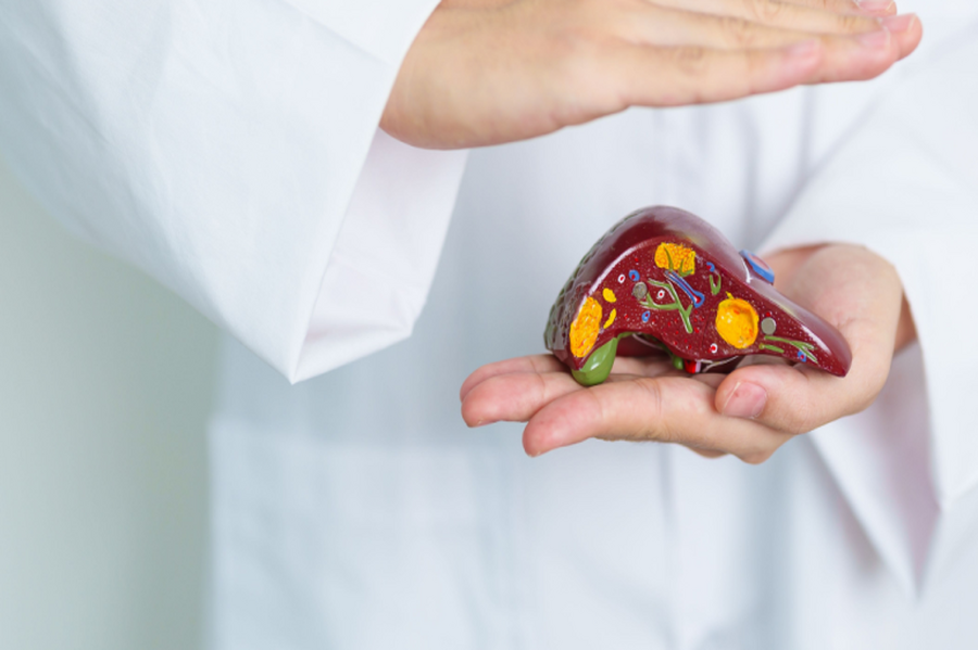 過年後診間湧現「看病潮」？ 爽吃一週驚見脂肪肝上身，醫示警「身材不胖也有危險」