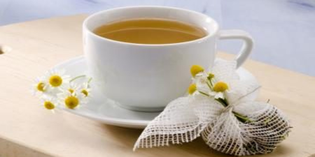 每天一杯「甘菊茶」，能治肥胖、焦慮、這樣喝更能平息「荷爾蒙」混亂！