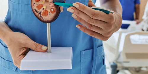 全台200萬人「腎臟過勞」！ 醫揭糖友護腎法則：「1件事」務必要先解決