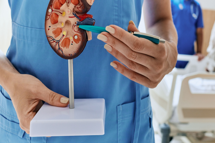 全台200萬人「腎臟過勞」！ 醫揭糖友護腎法則：「1件事」務必要先解決