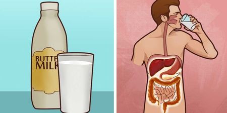 每天只要一杯「酪奶」讓你身體活力滿分打擊各種病痛！你還不快嘗試一下？