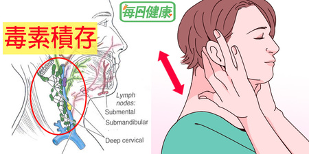 排毒靠肝臟不夠！5分鐘「淋巴引流法」淨化體內毒素、促循環，感冒、水腫不再來｜每日健康Health