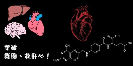 排毒、救膽「七種食物」最有效，吃對「葉酸」護腦「救肝心」！ ｜每日健康Health
