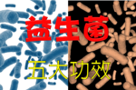 先別管「益生菌」可以幫助「消化」了，您聽過它還有舒緩焦慮等「五大功效」嗎？｜每日健康Health