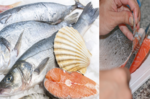 魚頭、魚皮「重金屬」超多，千萬別吃？專家揭開「6大真相」，這樣吃魚最安全！｜每日健康Health