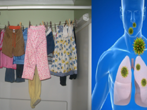 「室內曬衣」呼吸全是黴菌，易引爆鼻炎、肺部感染！必學「4招速乾法」遠離危機｜每日健康Health