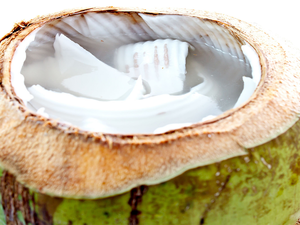 「椰子水」就是最天然的電解質！一杯喝進「五大健康功效」，血壓、膽固醇、癌症都敵不過它！