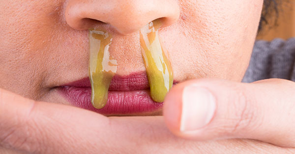 sruilk/Shutterstock