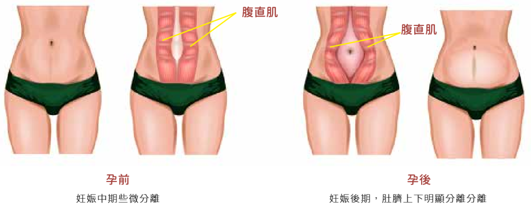 孕‧動‧瘦