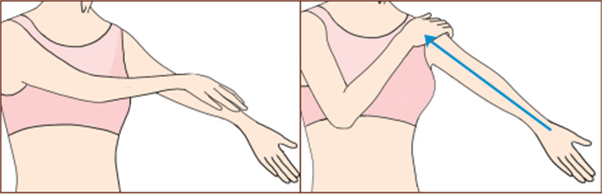 瘦手臂運動