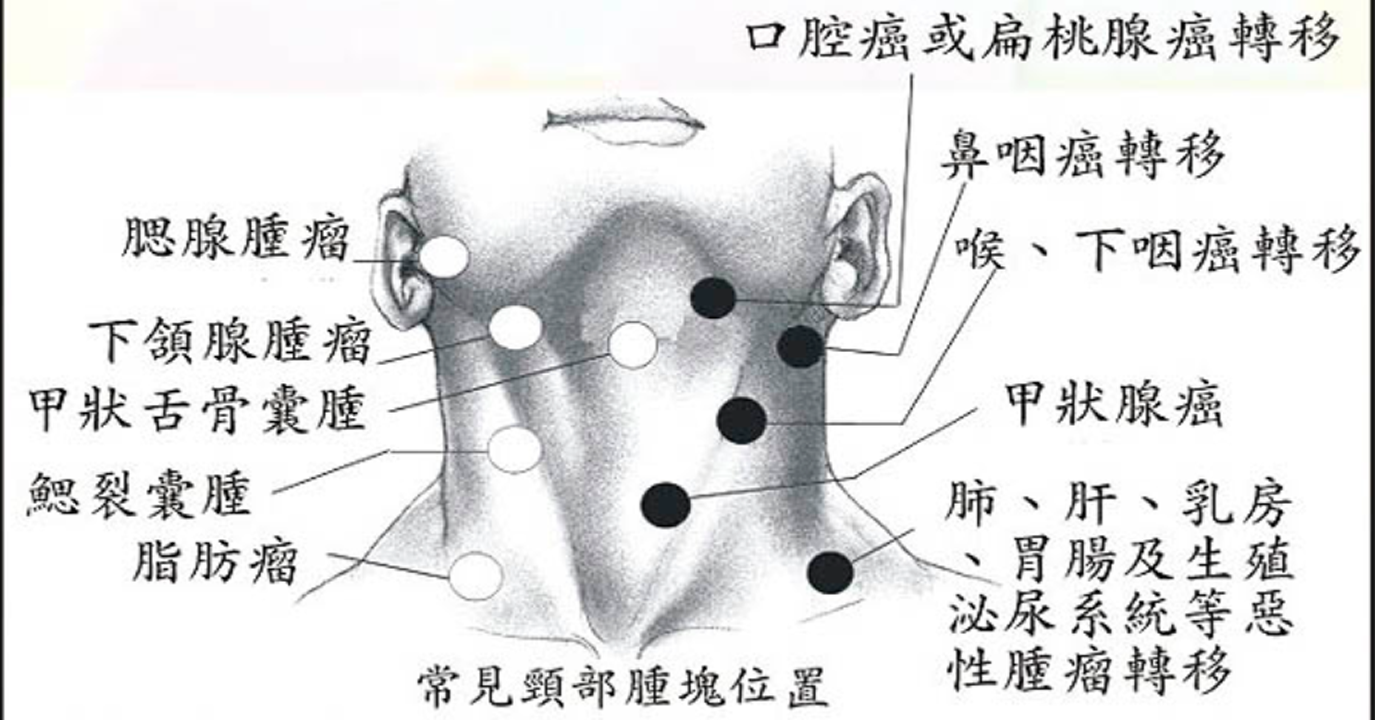 高醫醫訊