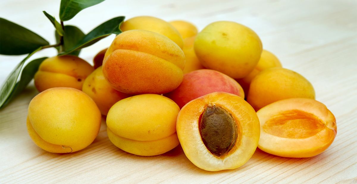 Apricot