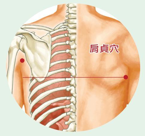 大都會文化