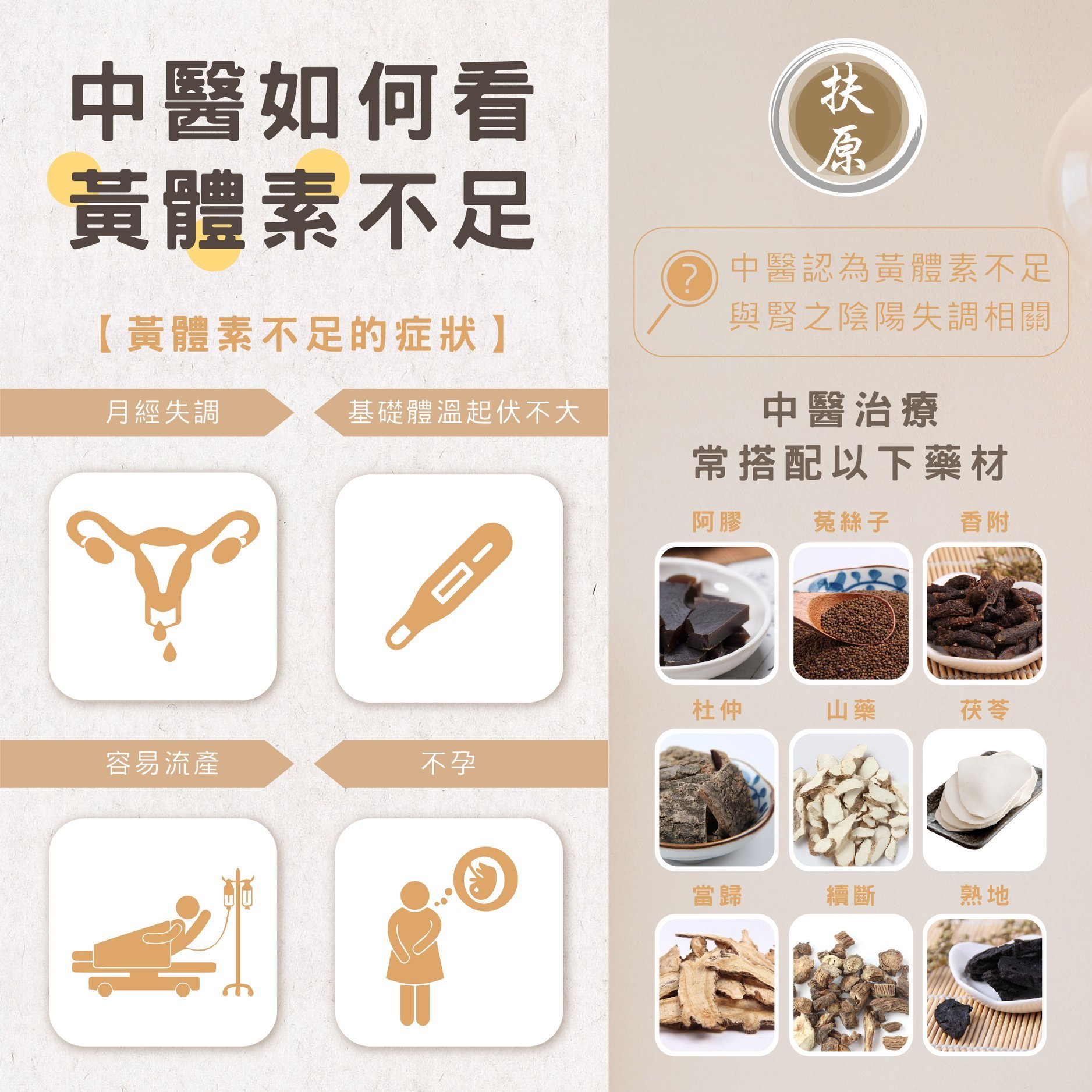 扶原中醫診所台中院區