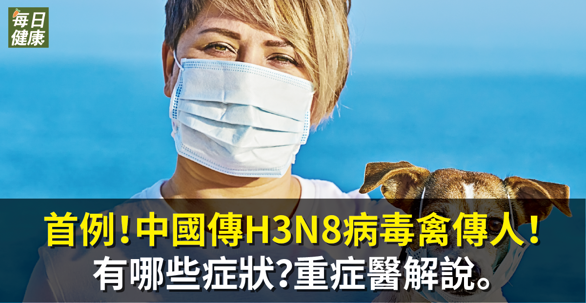 首例！中國傳H3N8病毒禽傳人！會大流行嗎？有哪些症狀？重症醫解說。