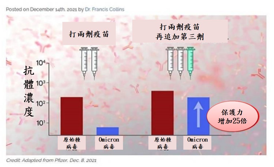 圖/翻攝自 臉書粉專「吃病」