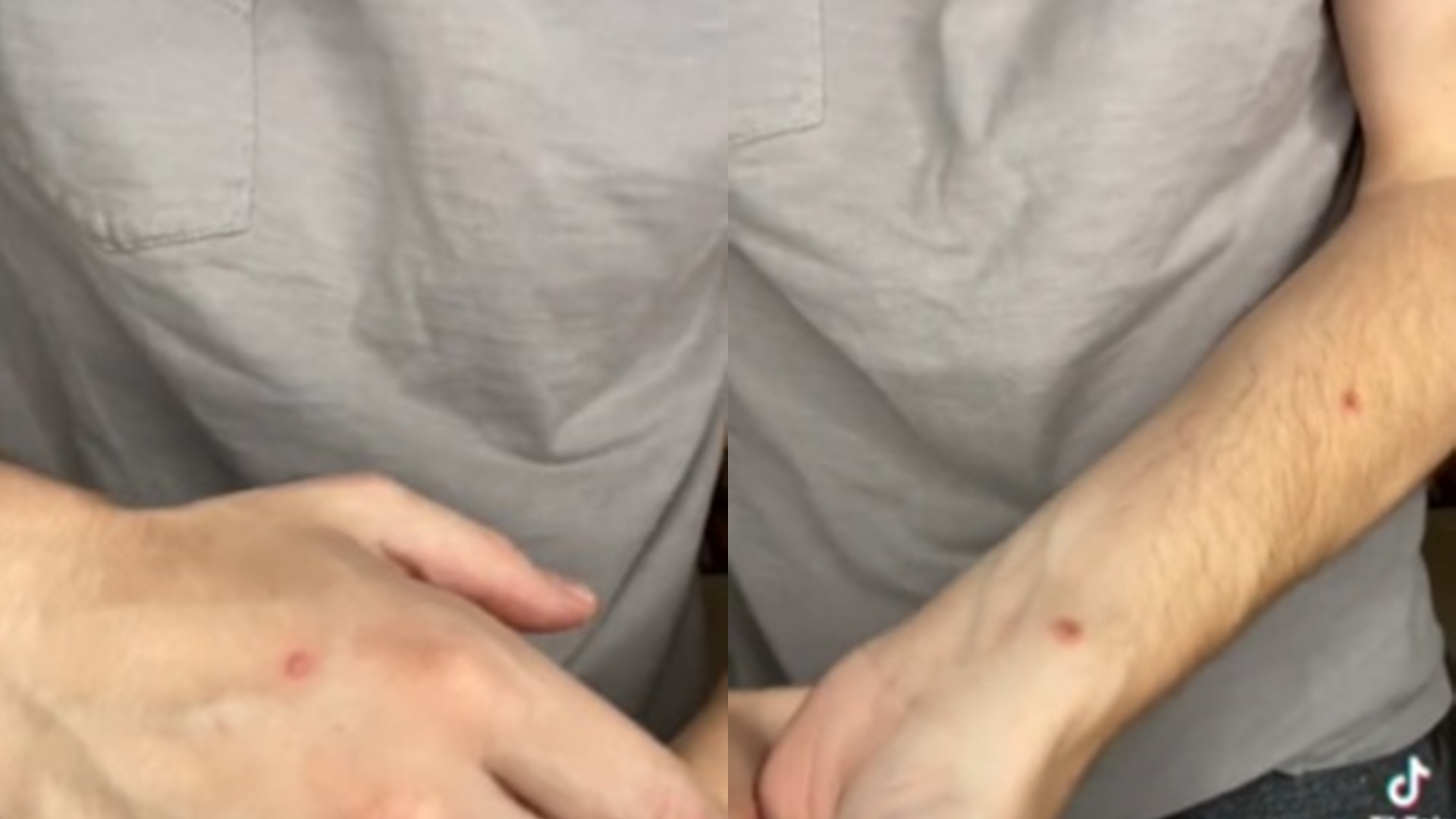 圖/翻攝自 Matt Ford/推特