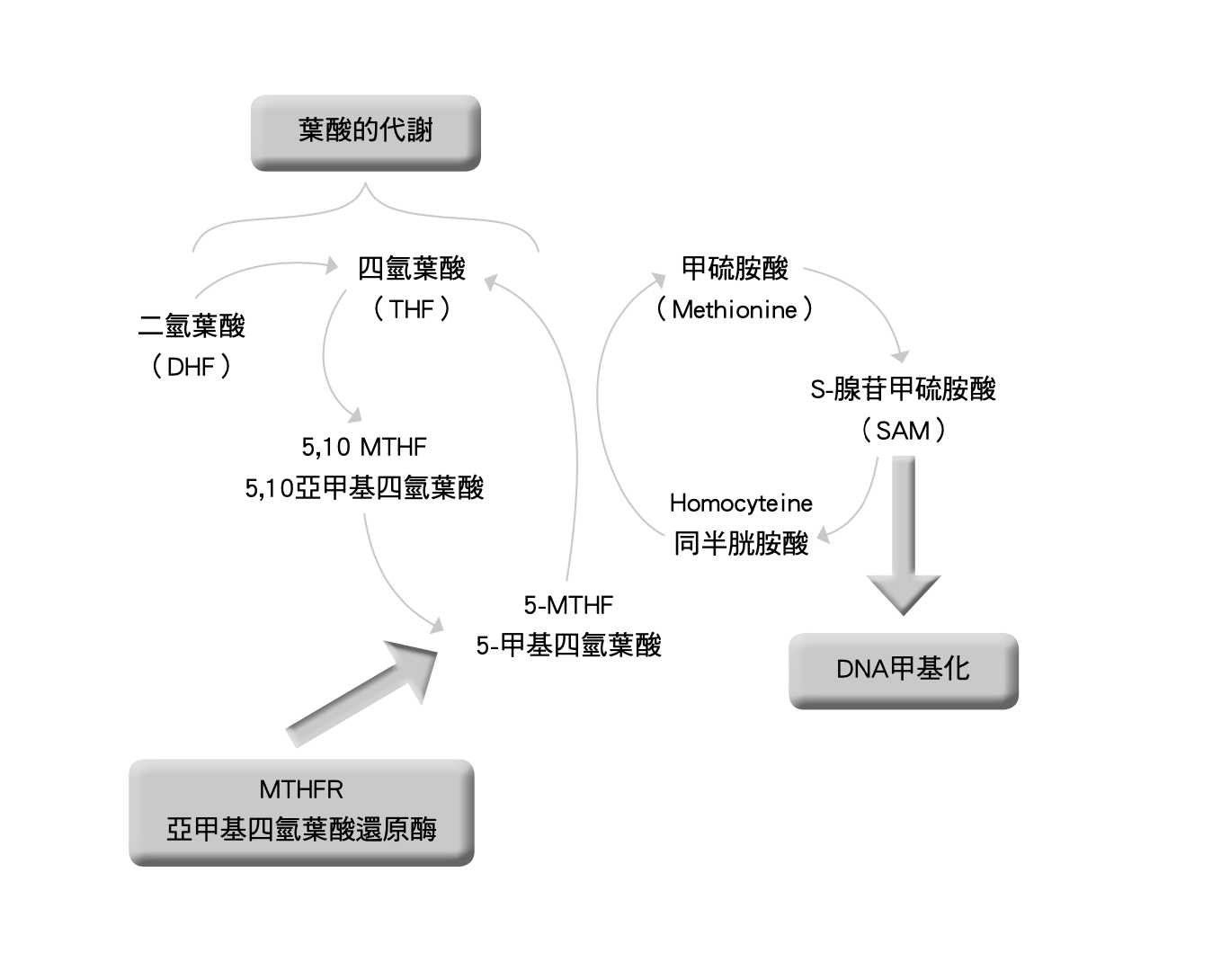 劉博仁醫師 授權提供