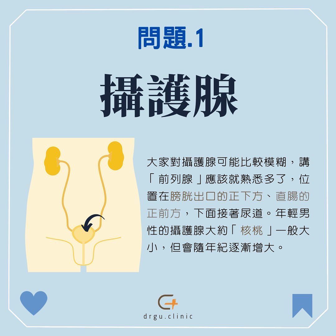 尿尿一直滴!攝護腺肥大輕忽恐「小解變大難」4招預防 尿尿一直滴!攝護腺肥大輕忽恐「小解變大難」4招預防