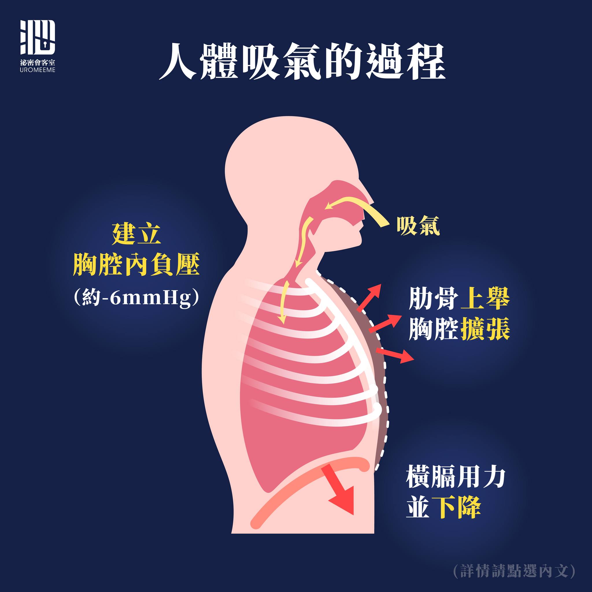 泌密會客室 授權提供