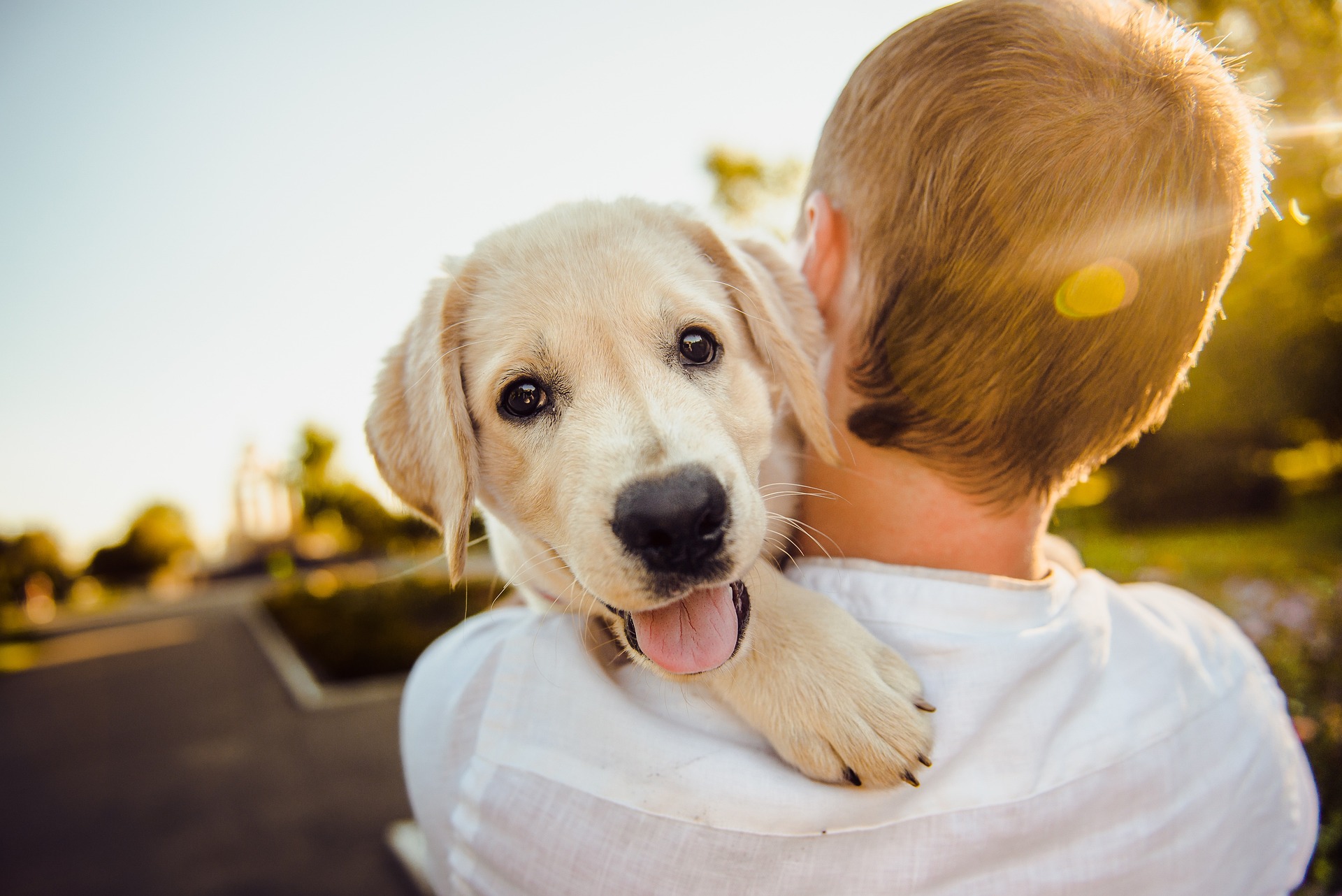 養寵物的人比較快樂？瑞士研究：「和寵物相處」可刺激腦部活動提升幸福感
