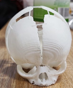 翻攝自Mail Online